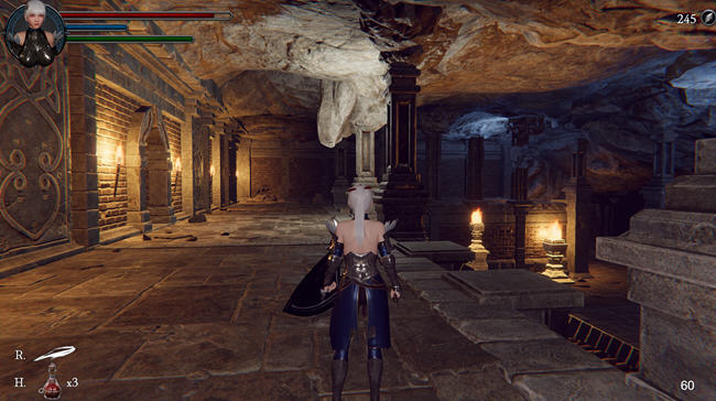 地下城的女骑士DL官方中文译码版3D动作冒险游戏1.9G