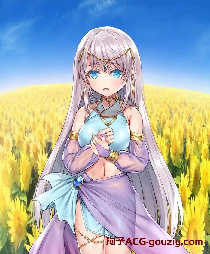 【RPG】誓死守护您的生命/命に代えてもお守りします!【安卓/PC 2.7G】