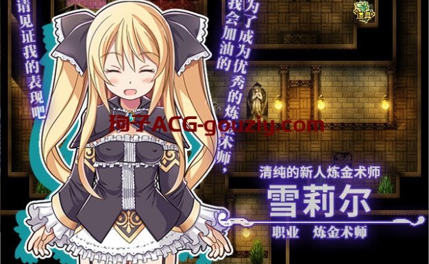 雪莉尔的大冒险：金色巨龙与遗迹之岛ver1.01官方中文版RPG游戏1.2G